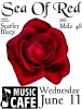 Sea Of Red Flyer from 06/11/2003
