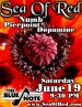 Sea Of Red Flyer from 06/19/2004